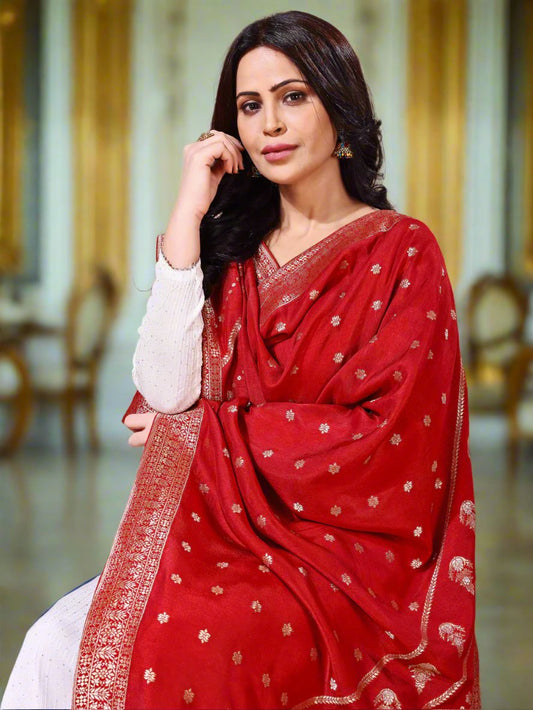 Back view of model wearing cherry bridal Banarasi dupatta, perfect for weddings.